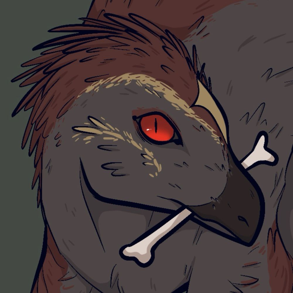 RaptorBones 🦴 Shop open!