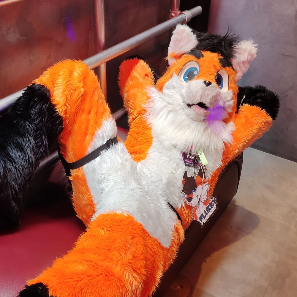 Flukky the little fox 🦊