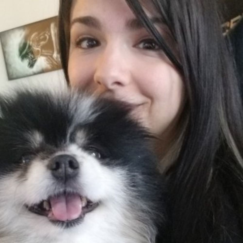 Runebee @ Twitch