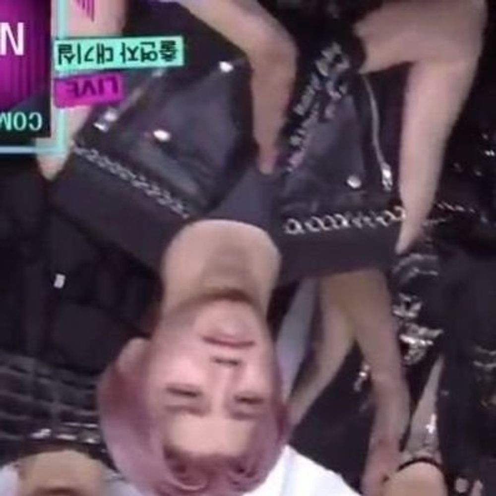 eh_ovo_ไม่เรียกหมาเร้กได้มั้ยพี่ๆๆๆ