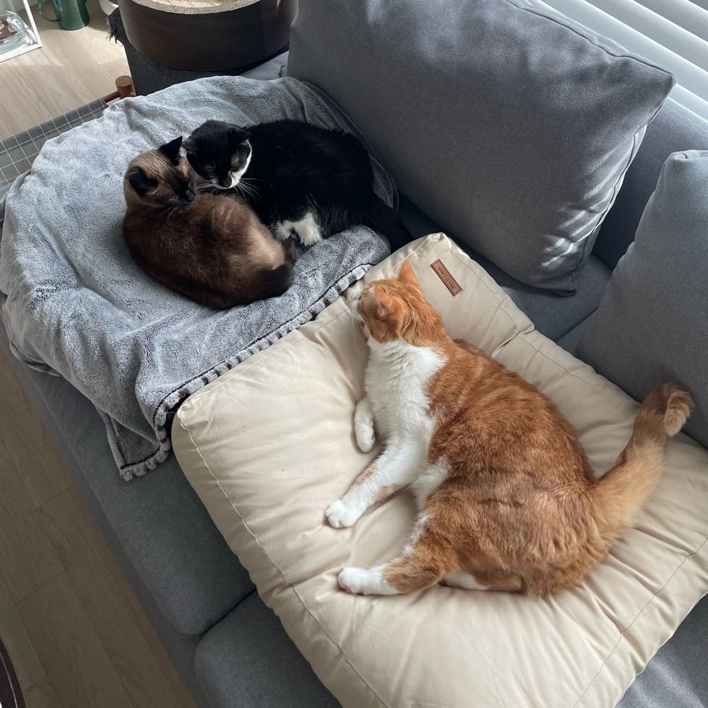 강앤