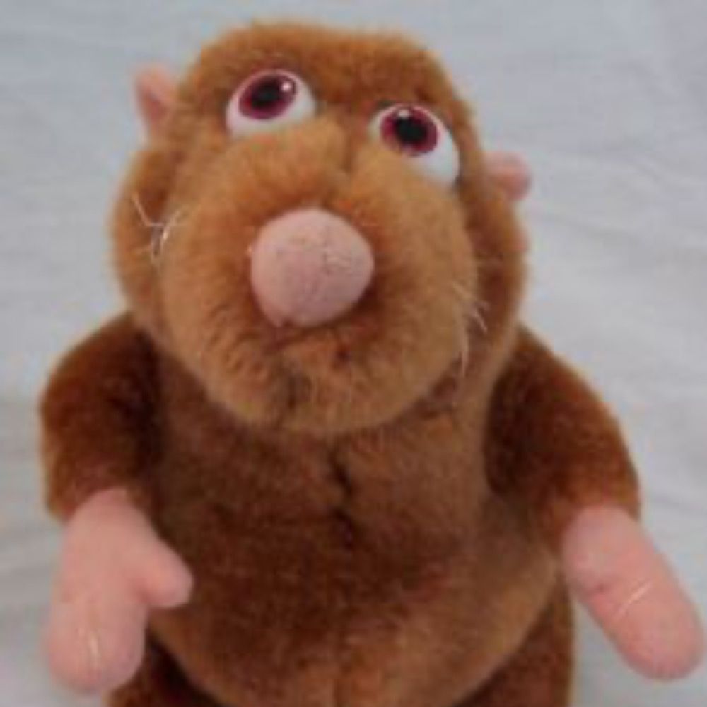 Ratbo