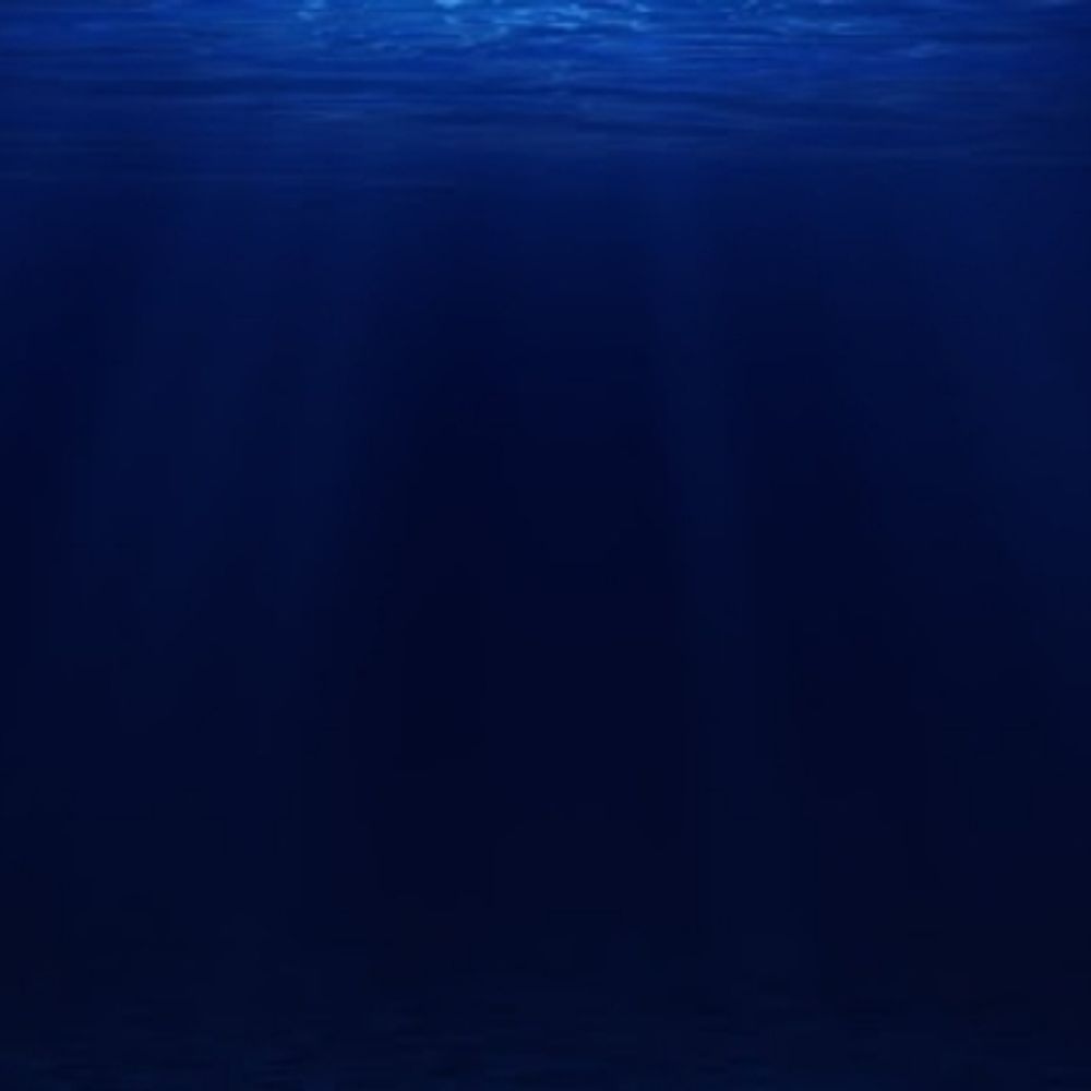 絶海