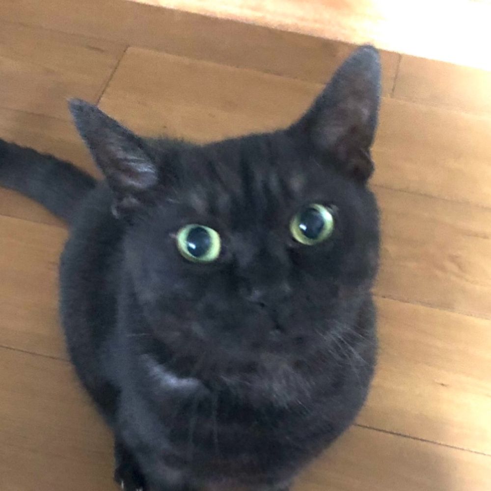 ひいいこ