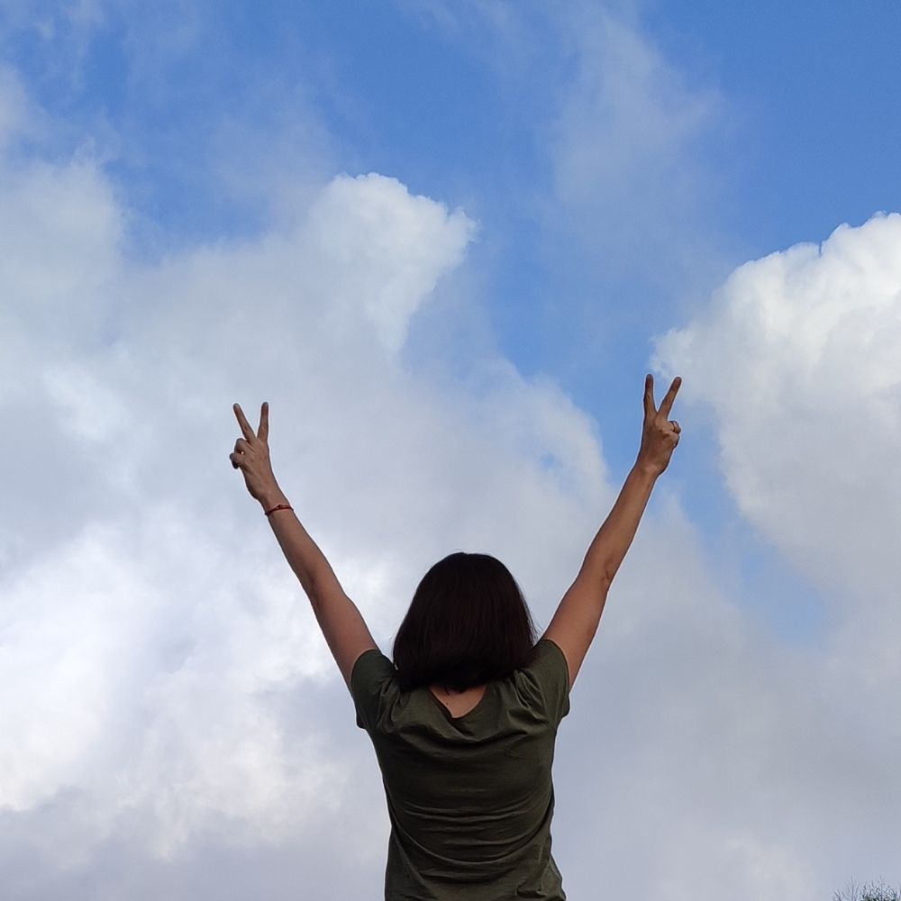 Memory Collector✌🏻