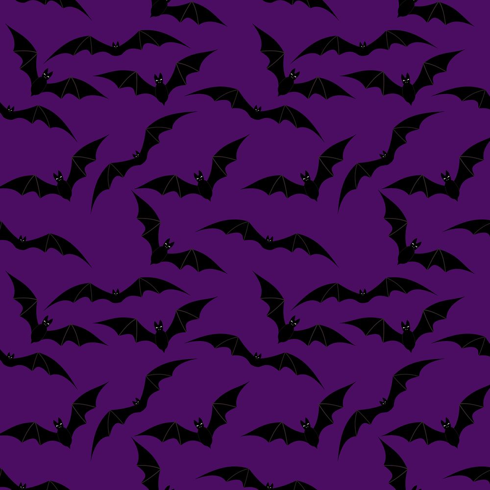 starrypawz