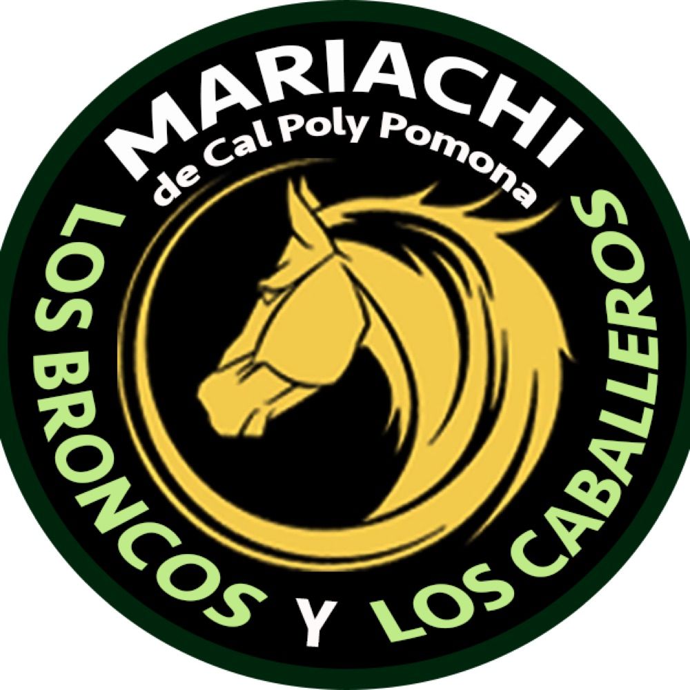 Mariachi Los Broncos and Mariachi Los Caballeros
