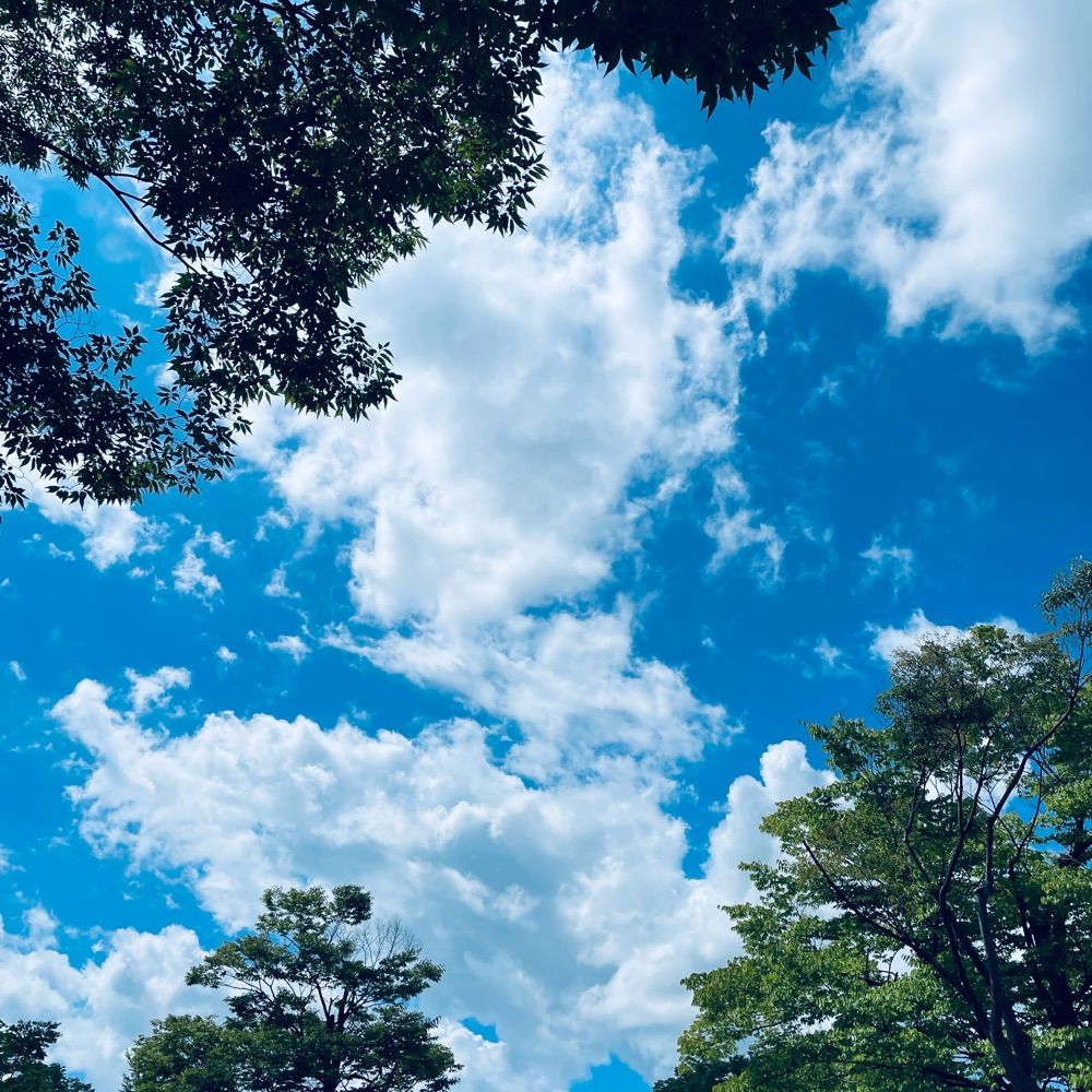 かず
