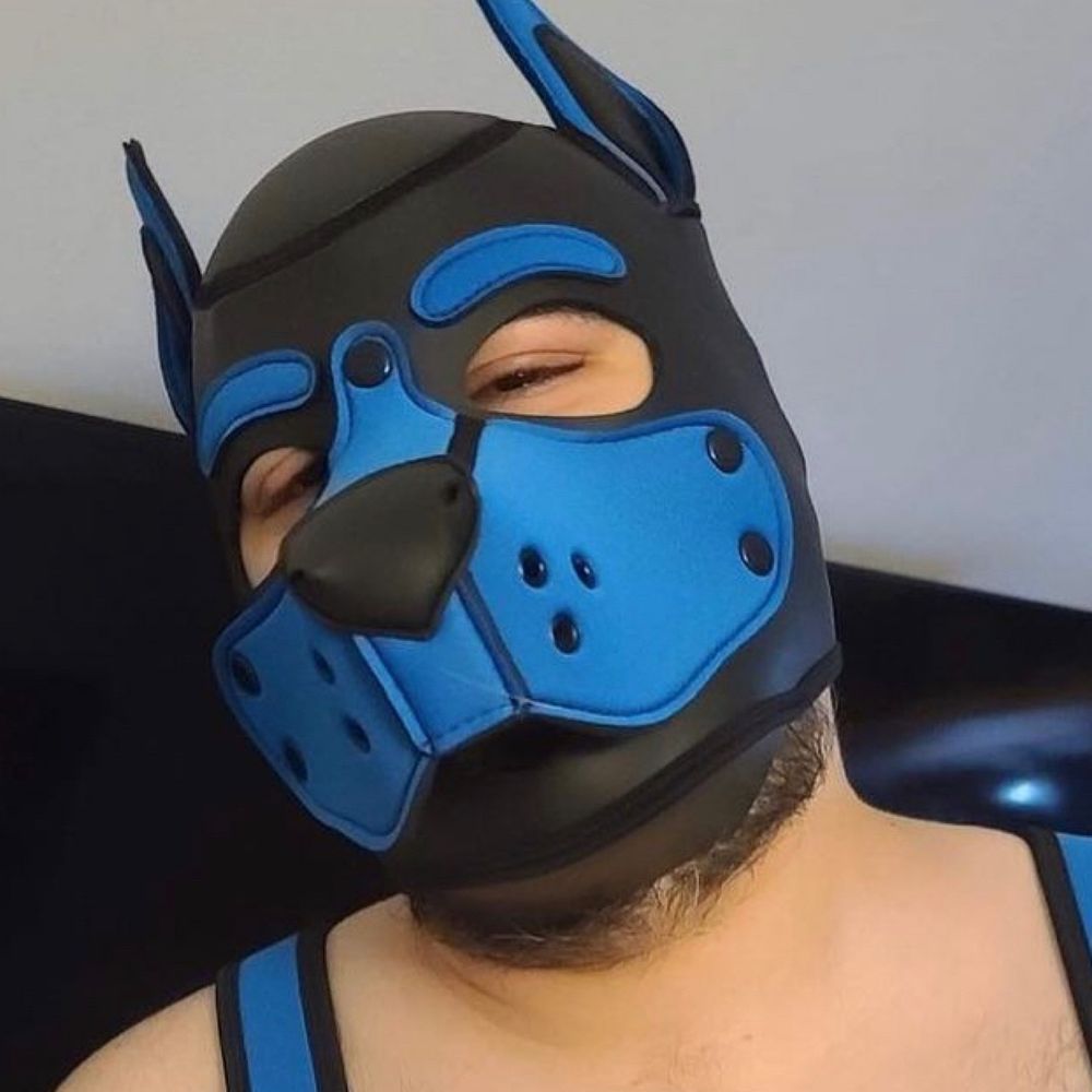 Bullet 💙🐶🐾🦴🏳️‍🌈🇵🇷