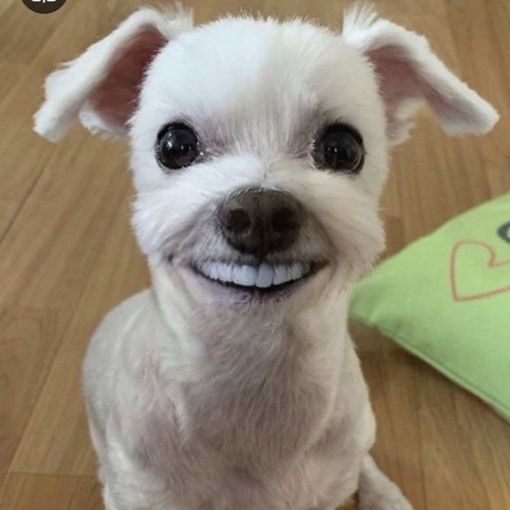 썬깅이
