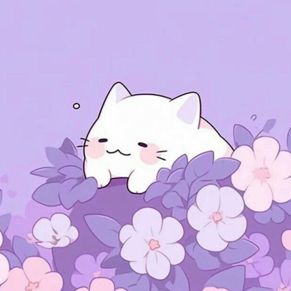 voidthecaelusimp 💜💫🦝
