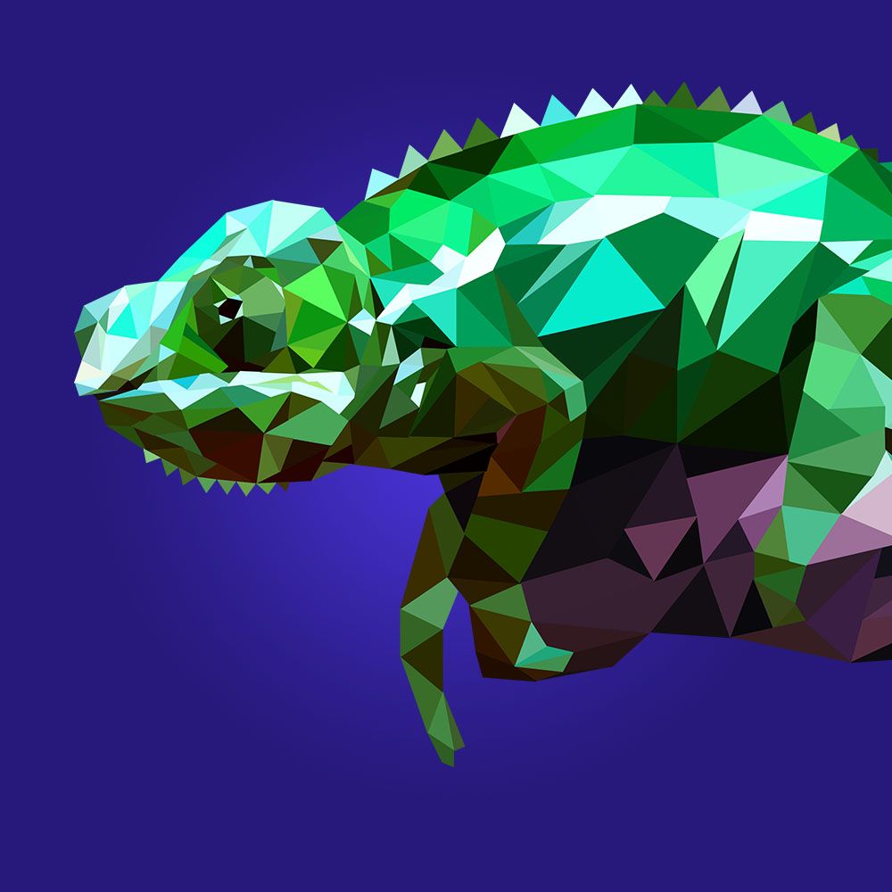 Miz Lizard Brain