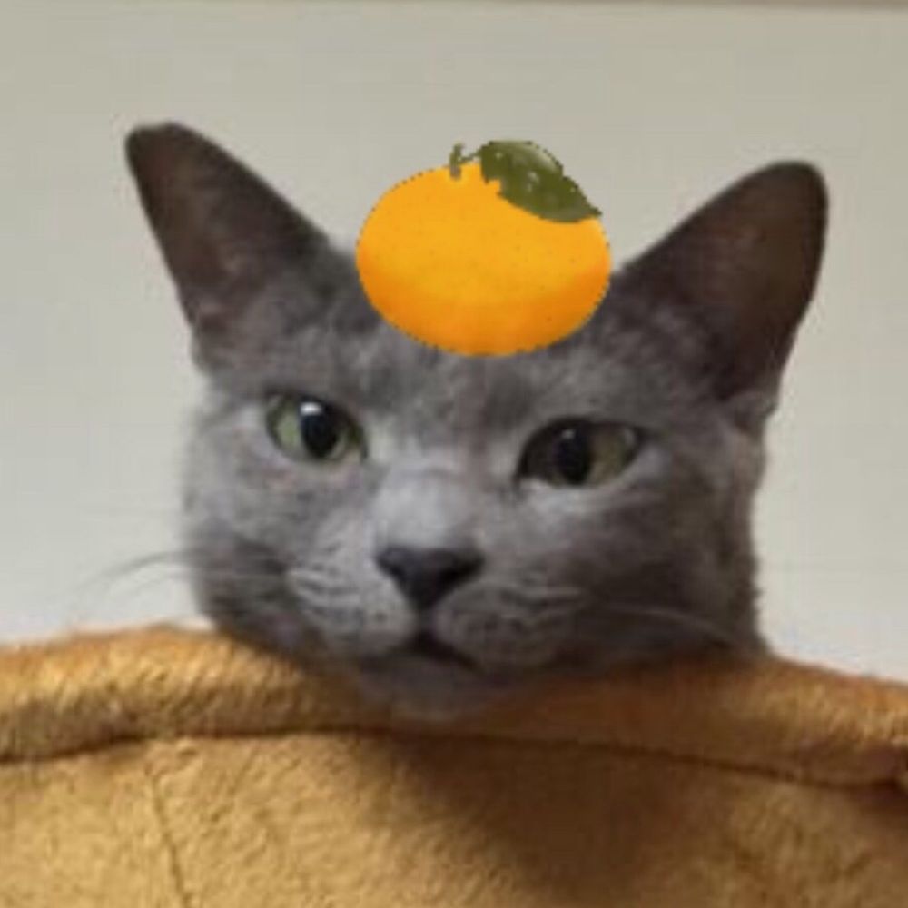 Makozones