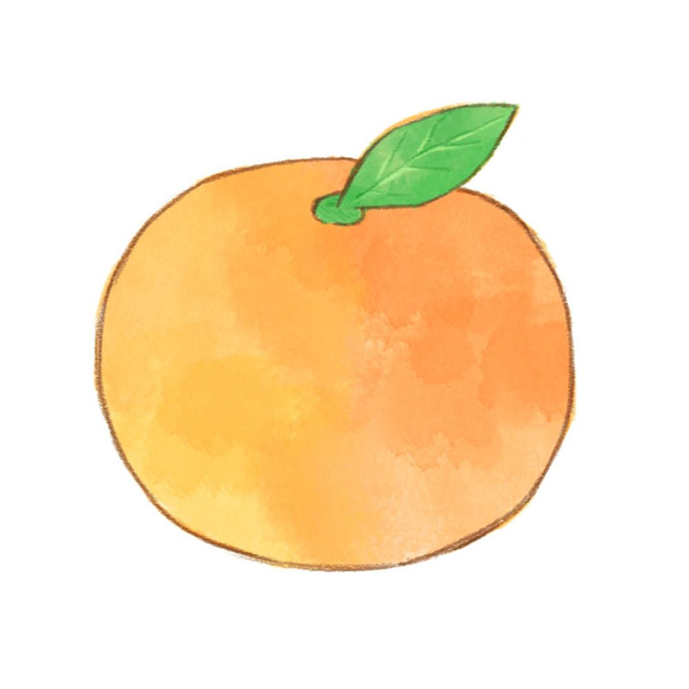 ふじのゆり