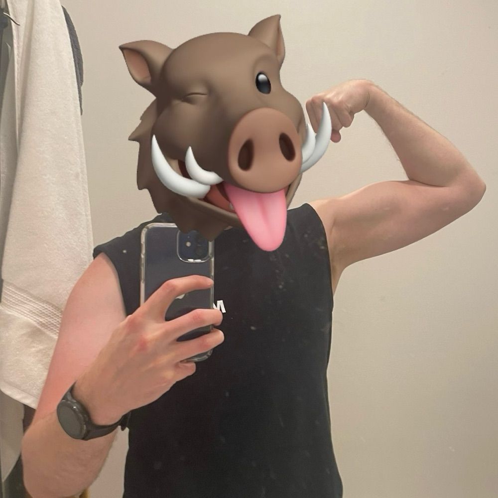 verhog 🐗