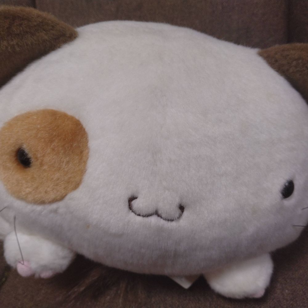 みってぃー