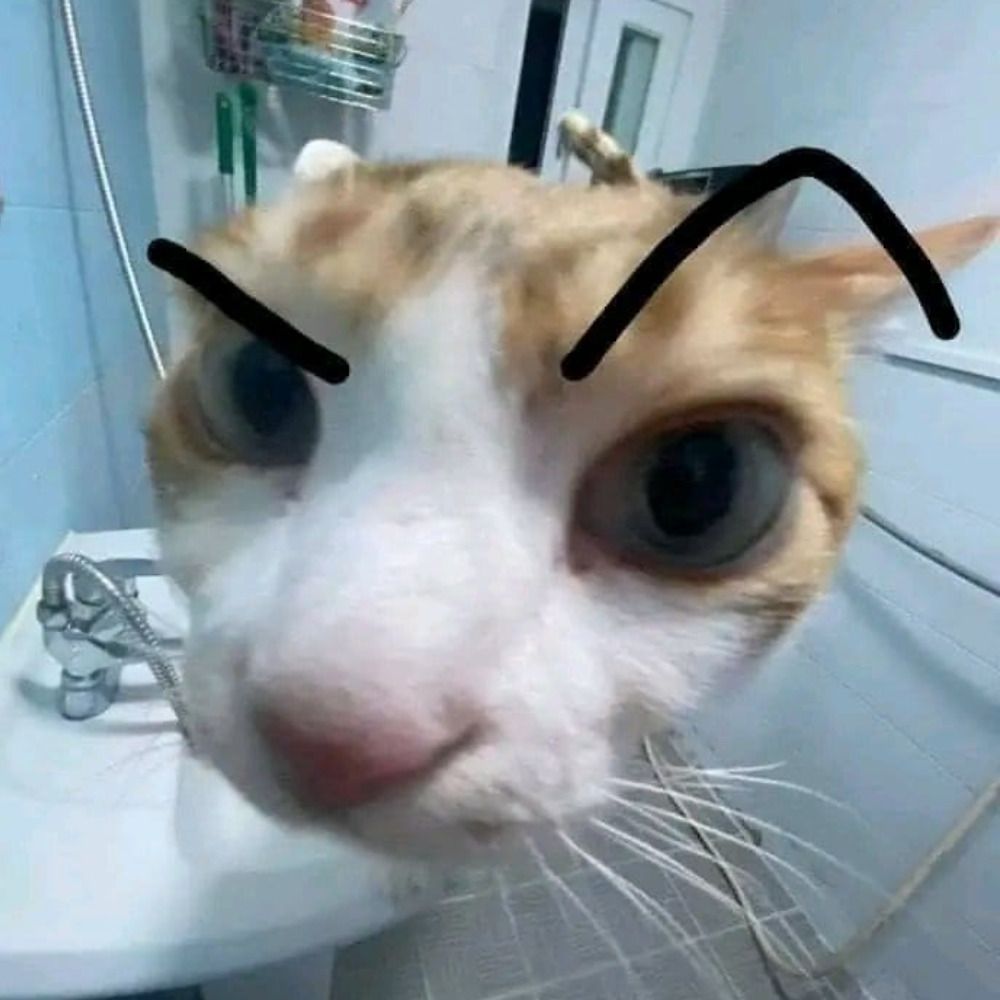 why