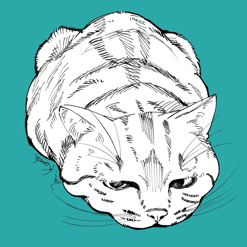 かねだみきお