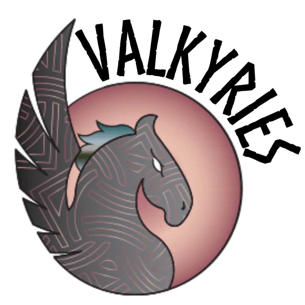 Angel City Valkyries