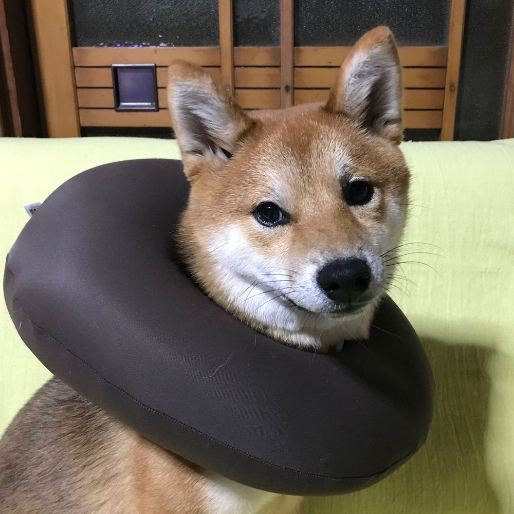 そらまめ