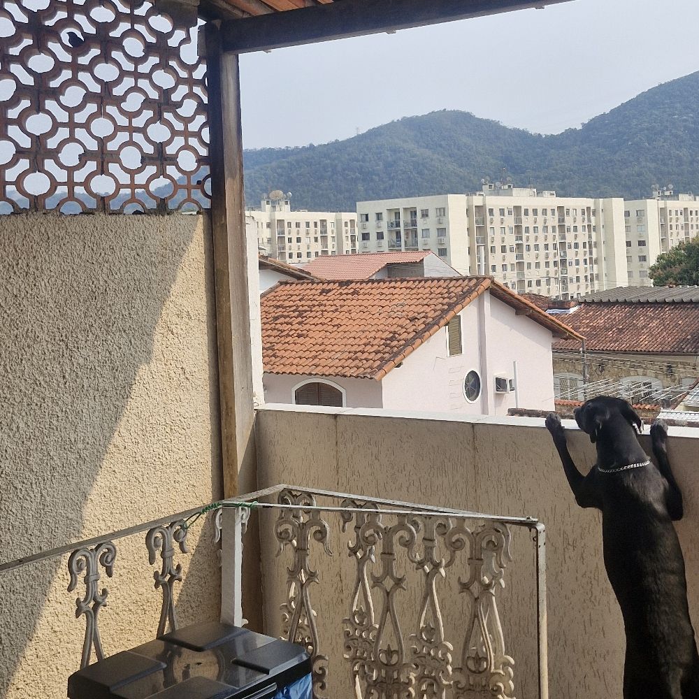 Rd 🇦🇱