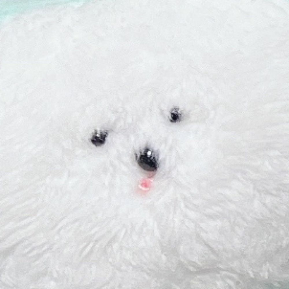 しょうた