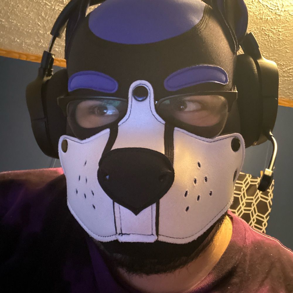 Pup Ikaros