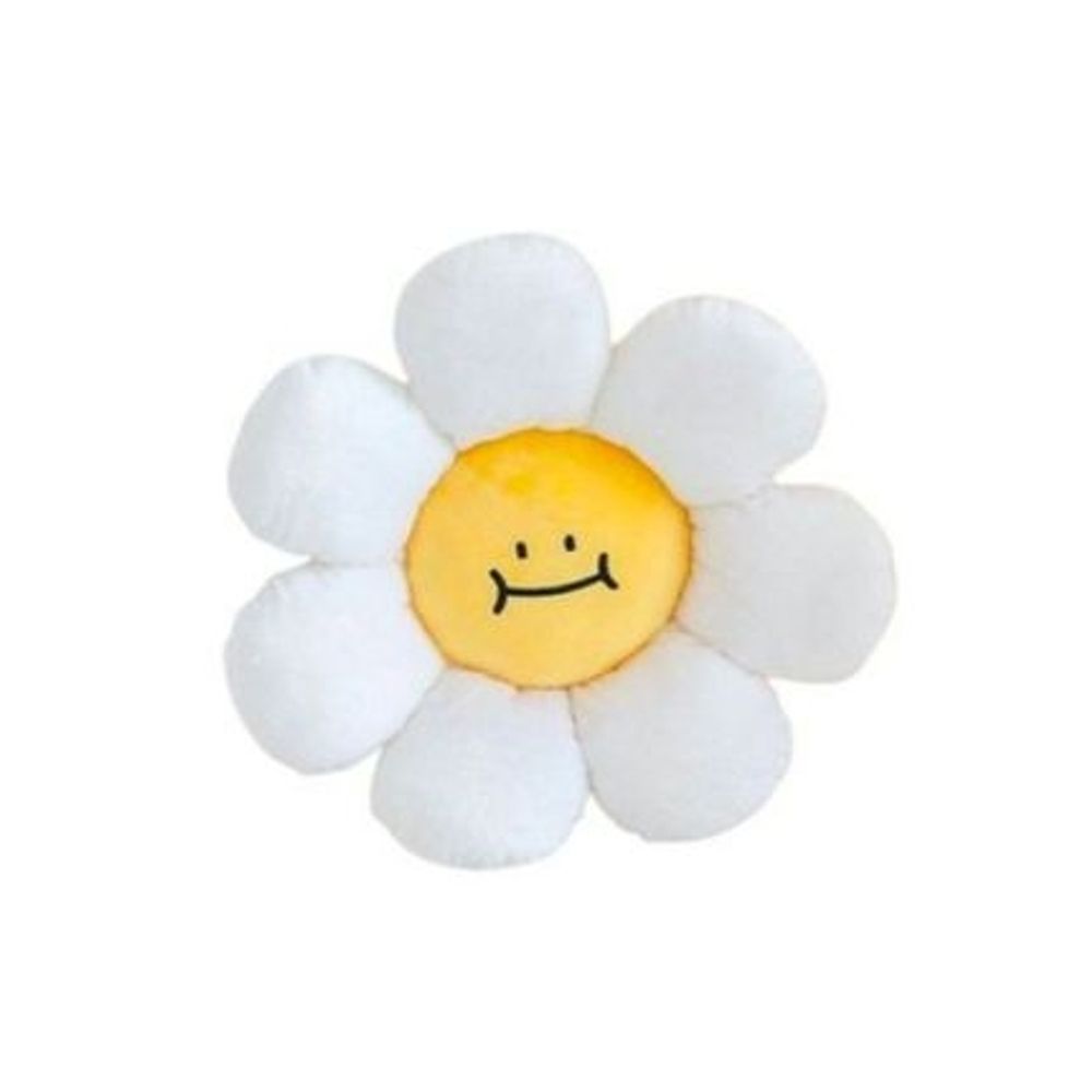 라임솝໒꒱·°✧