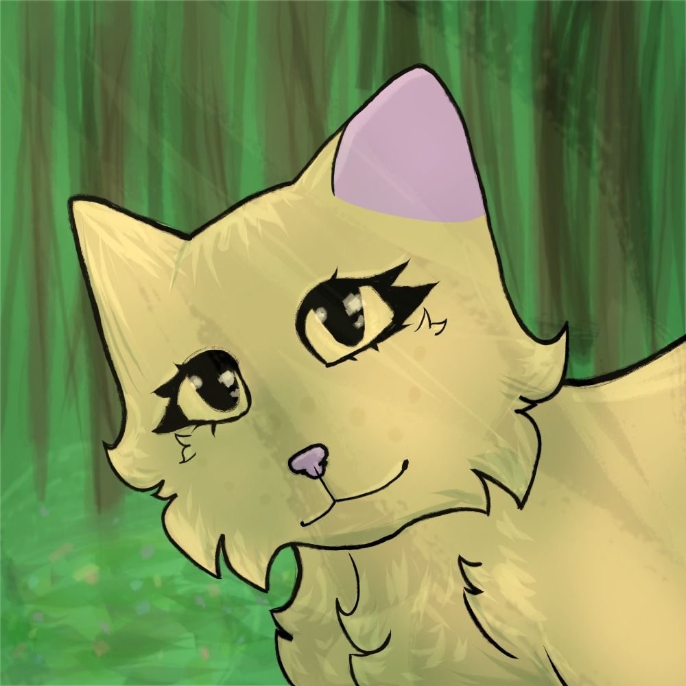 dancingcat of the fancy varitey