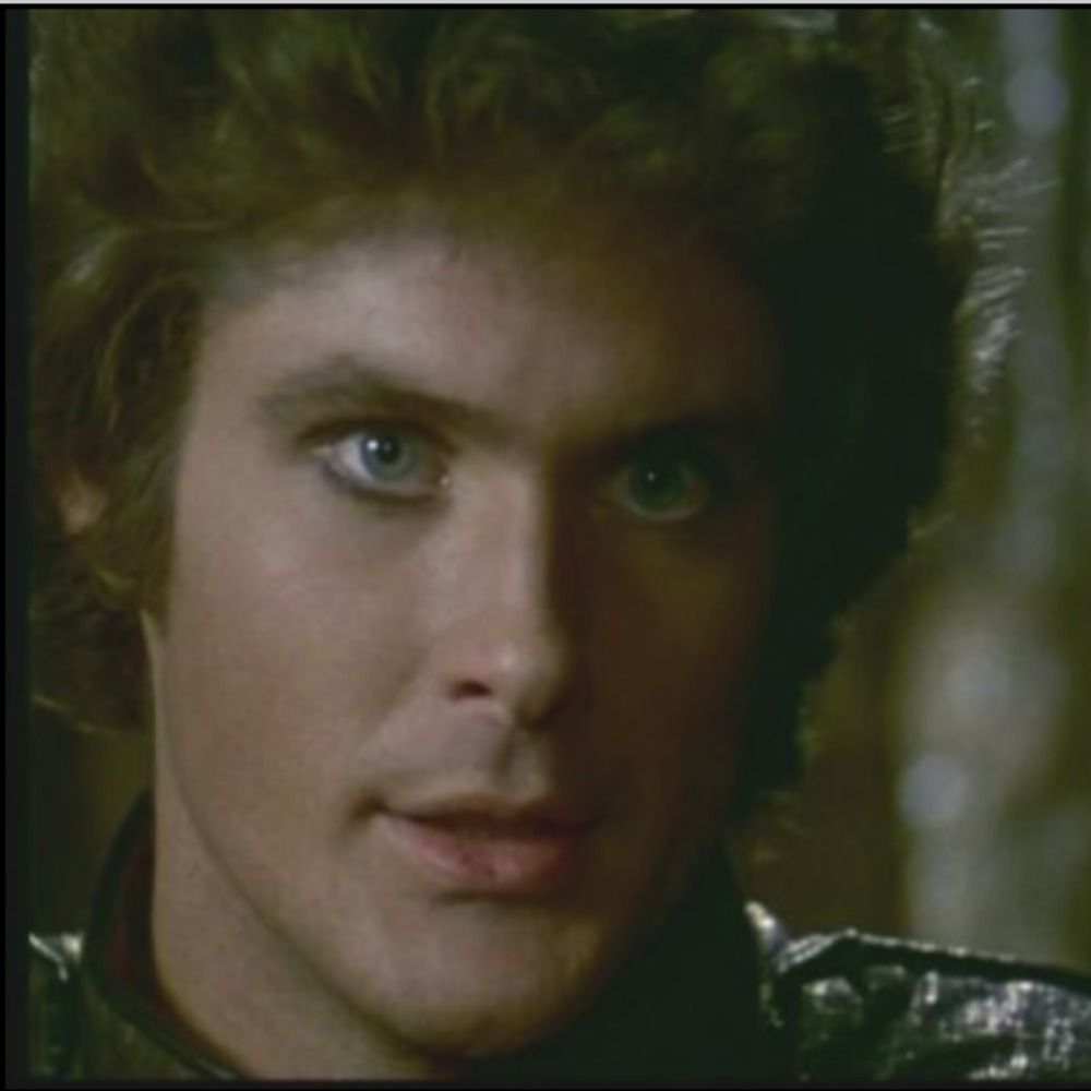 David Hasselhoff