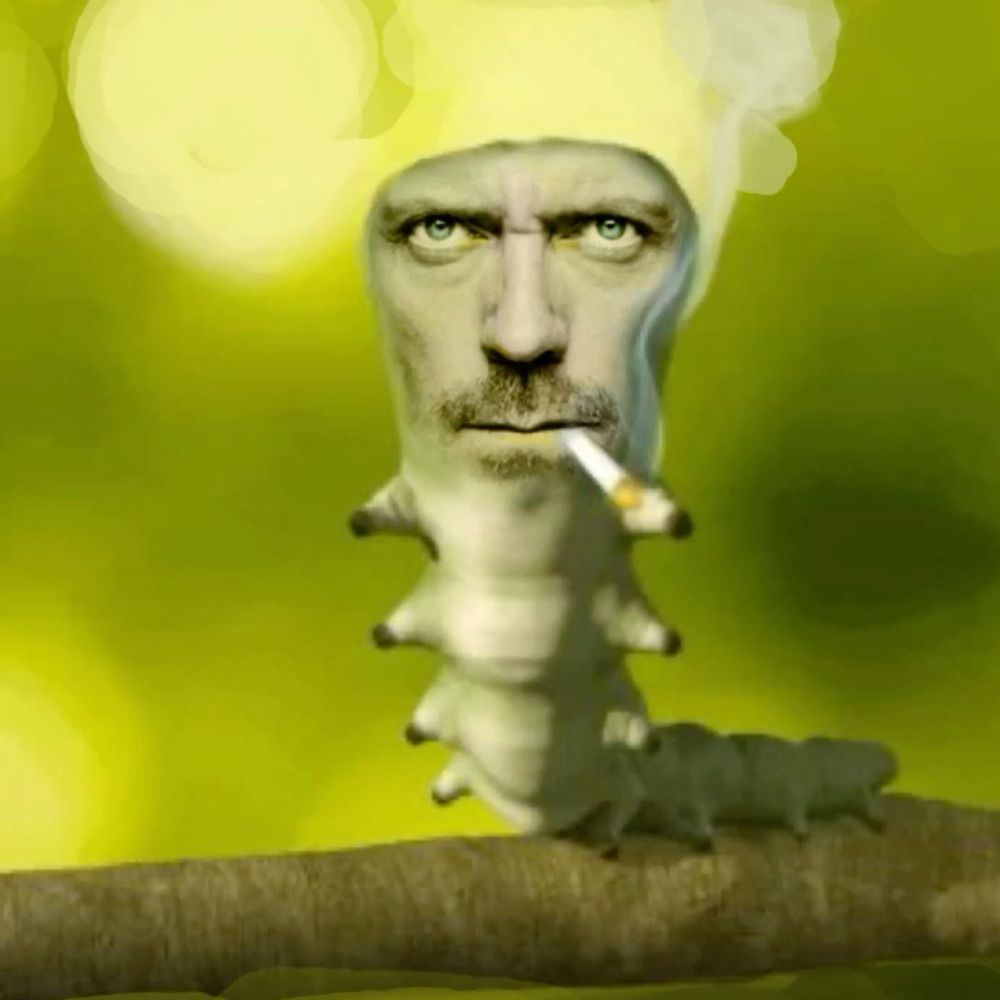 ꩜