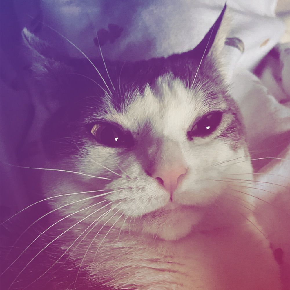 Not Tilly