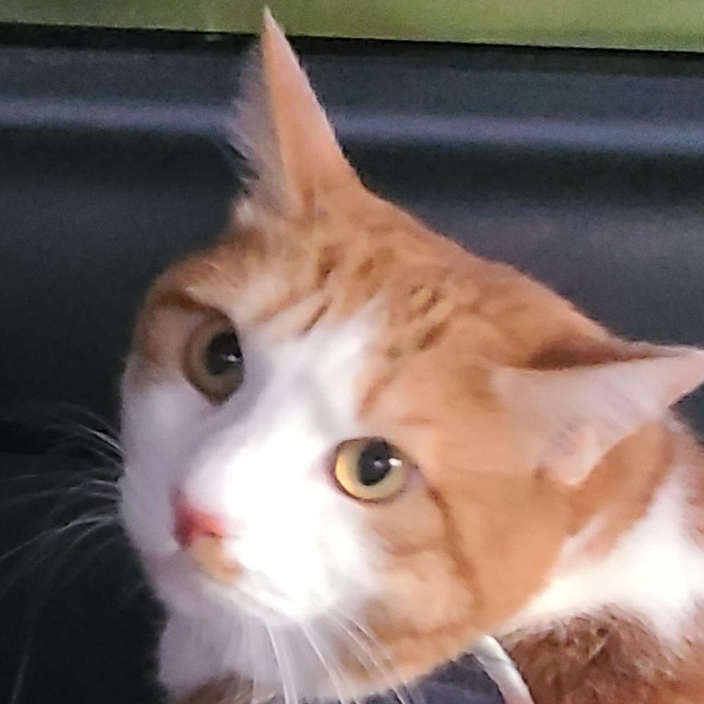 クロム