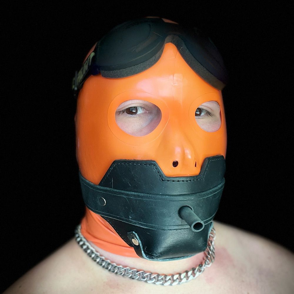 gimp