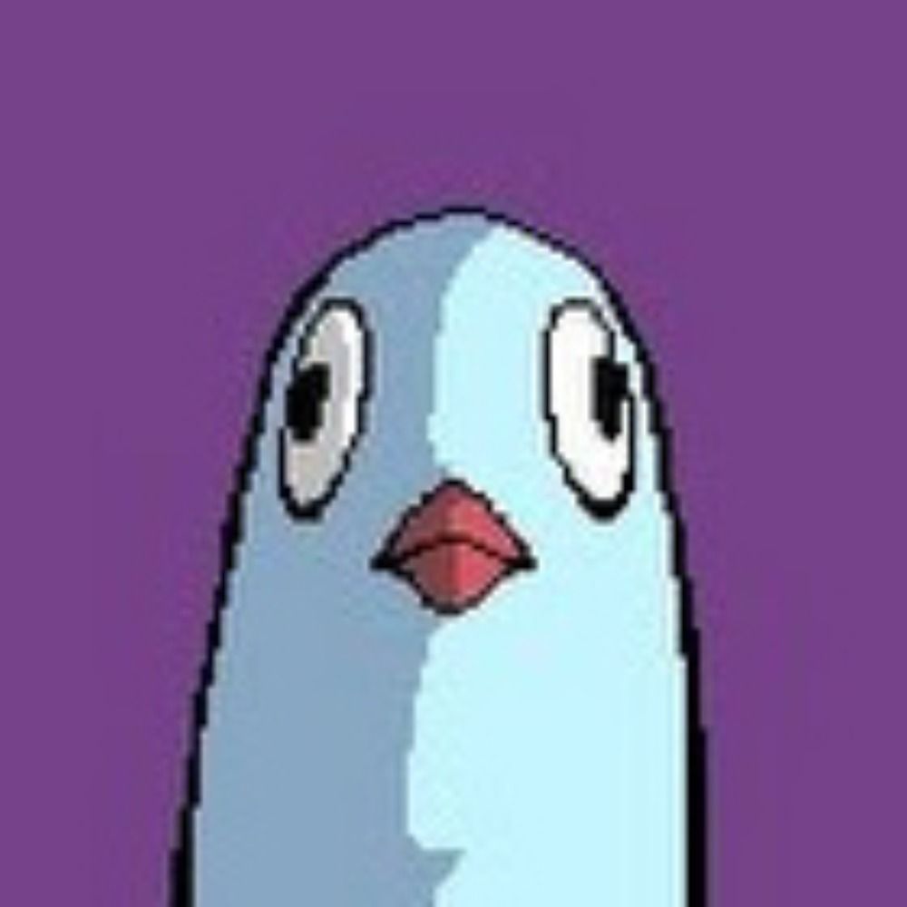 EXPigeon
