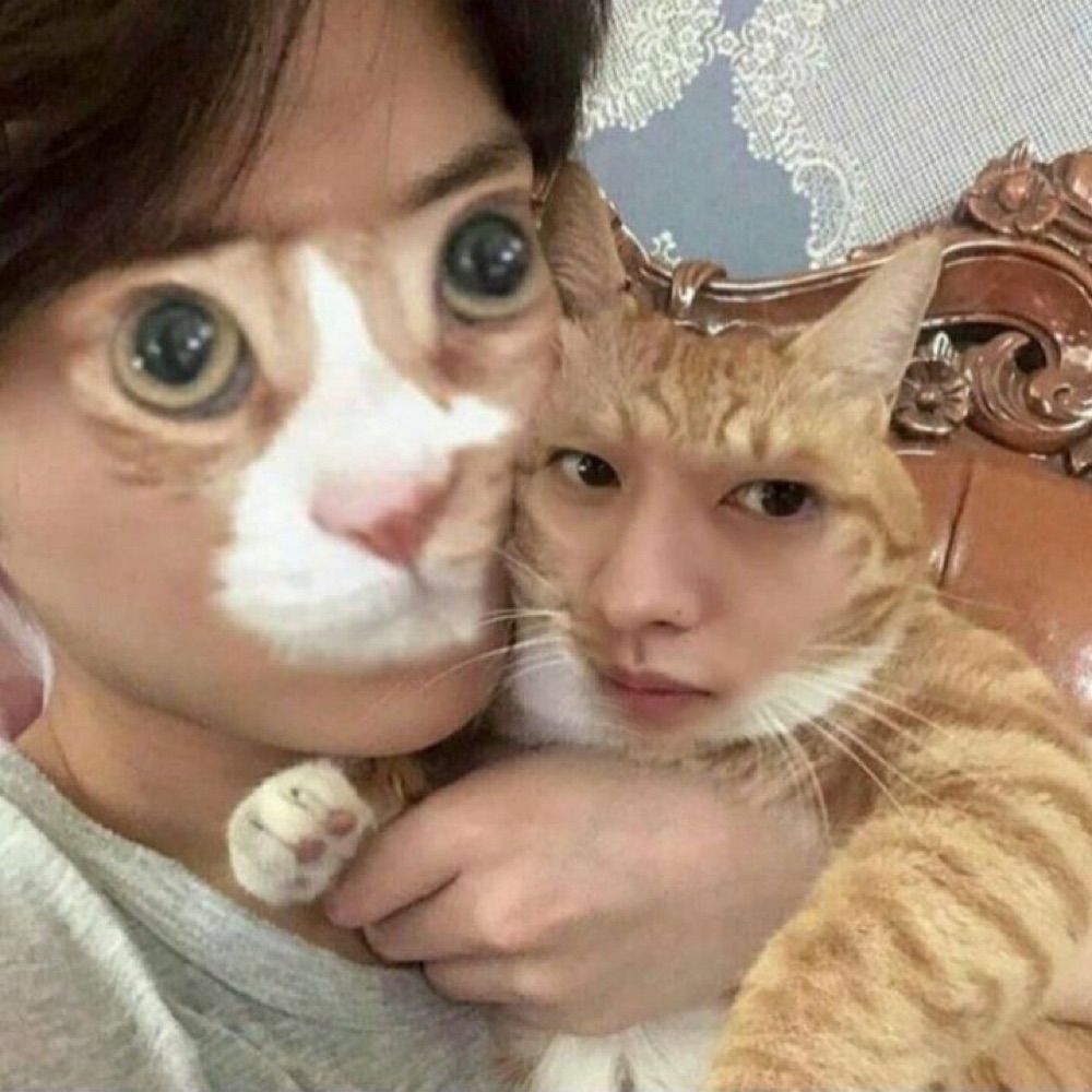 naninha 