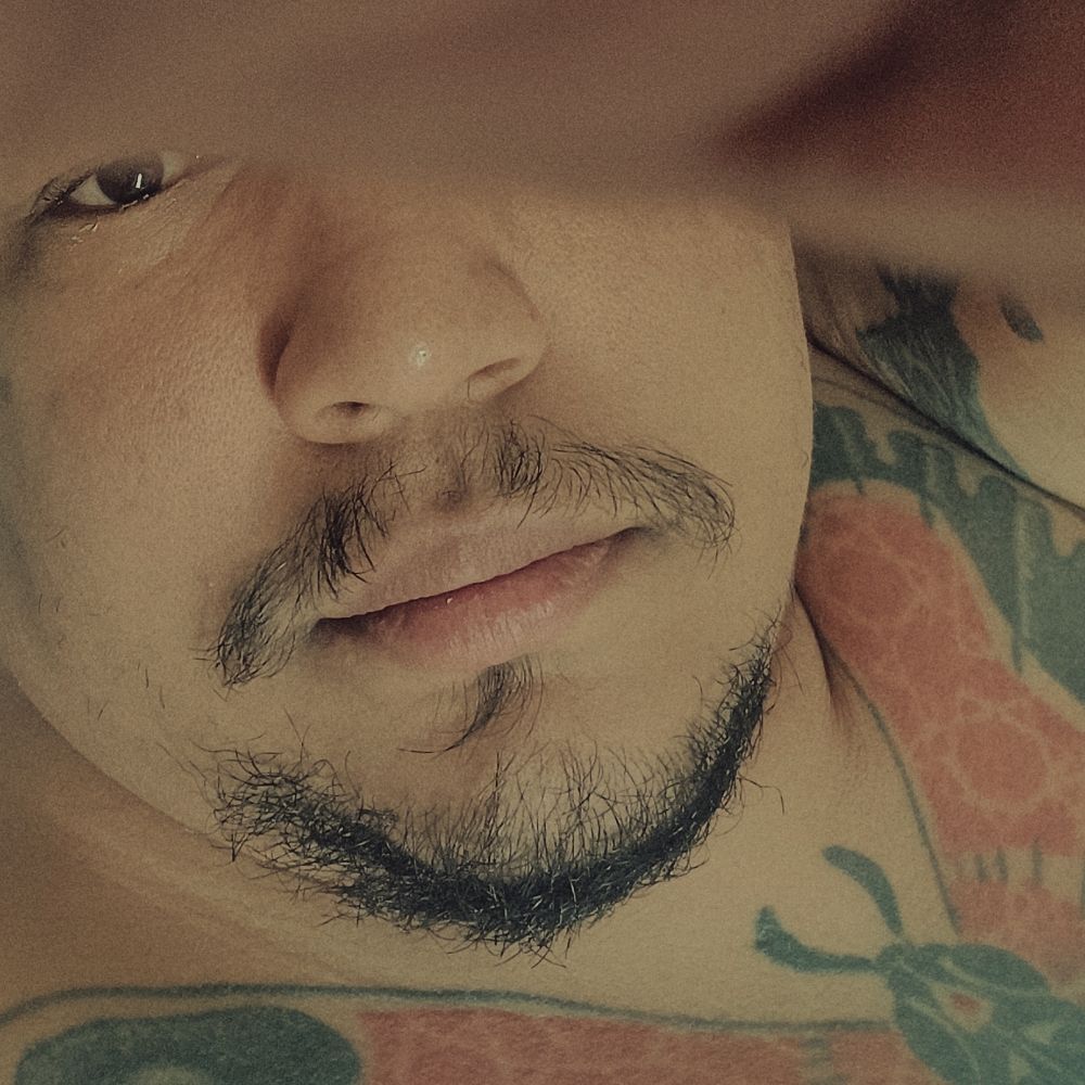 bearsp3.5