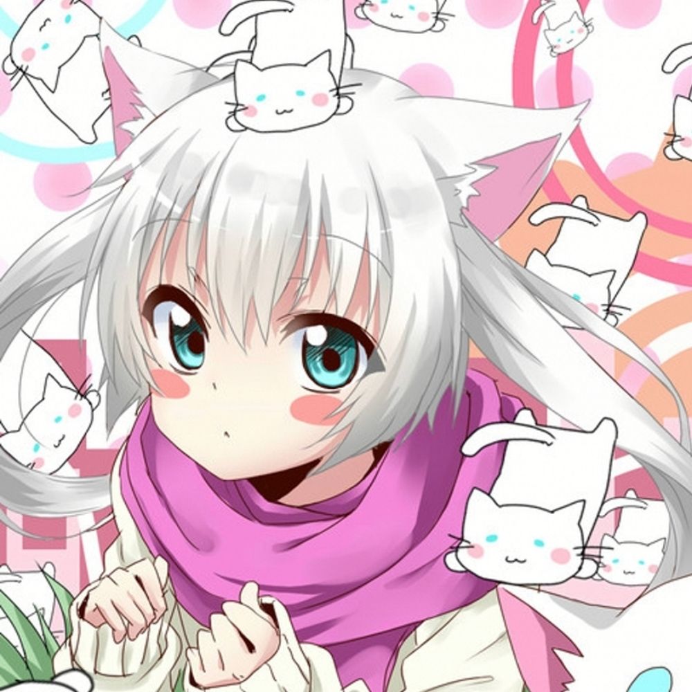 Miyo ( '﹃'⑉) (¬  ¬)
