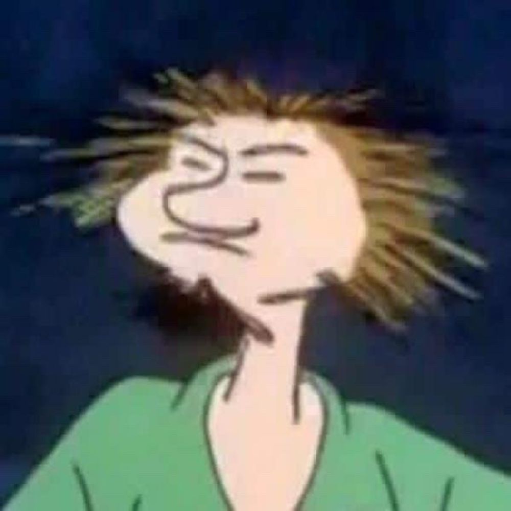 Loafer Shaggy 