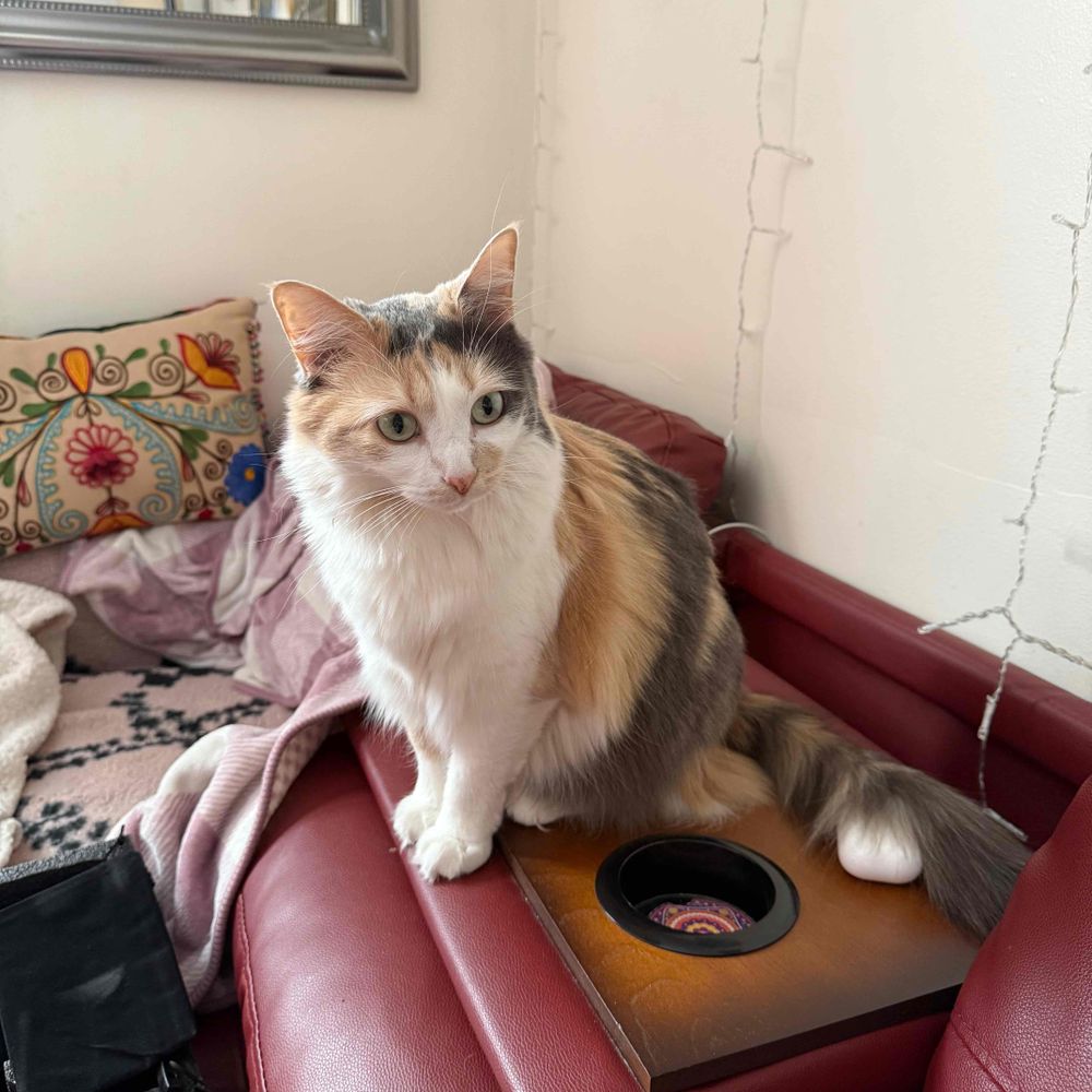 indi1314.bsky.social