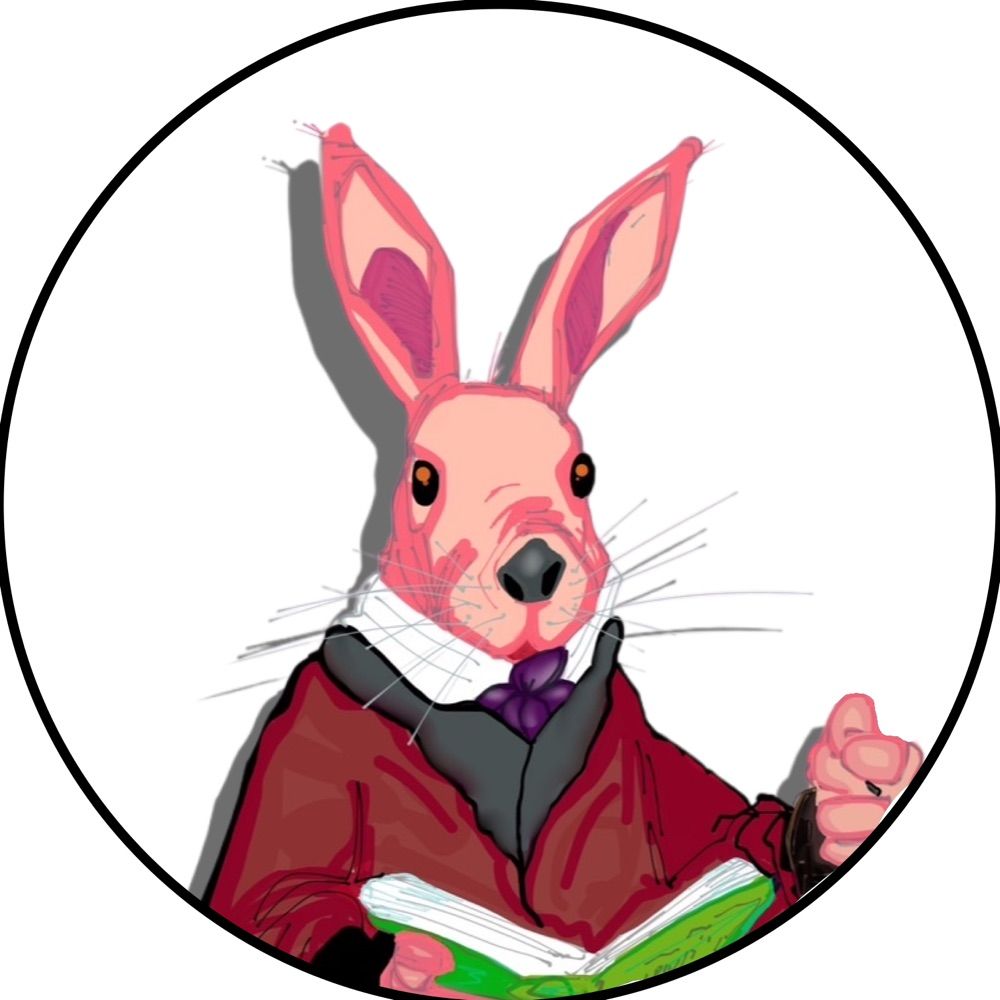 Bullet The Bunny