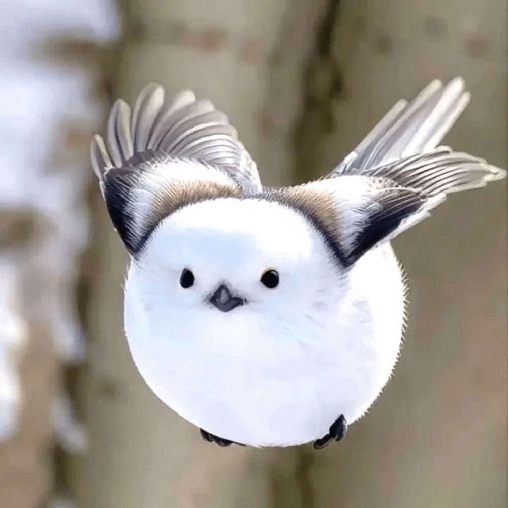 Bird Brained 🦜