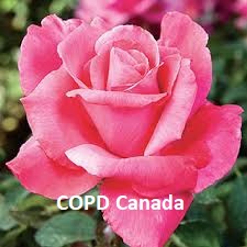 COPD Canada
