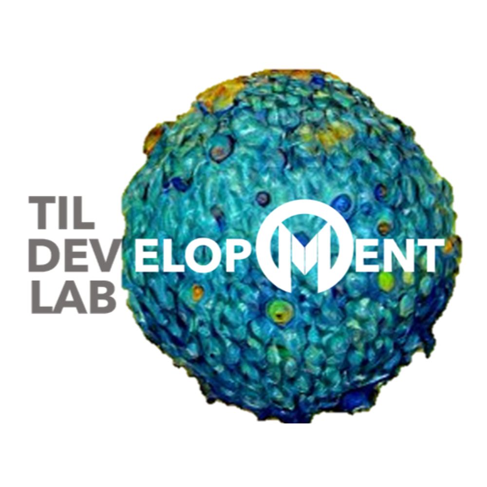 TIL Development Lab