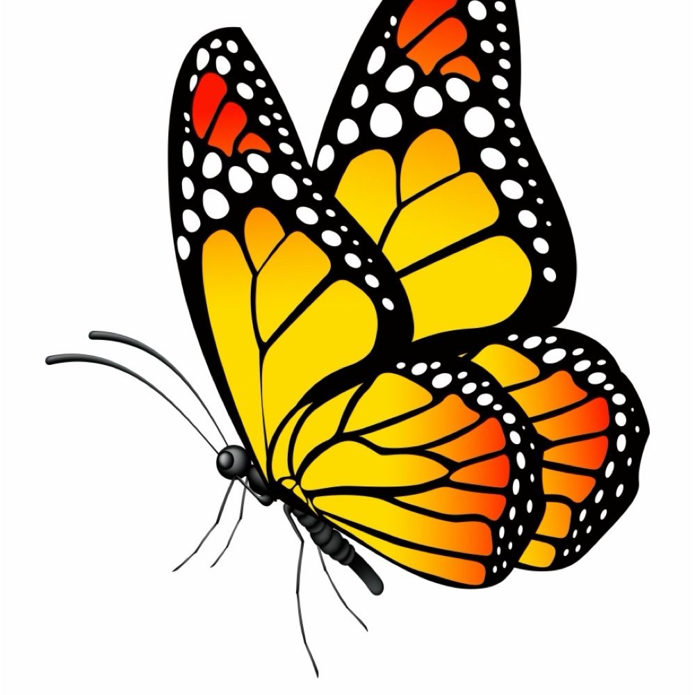 Monarch Farmer