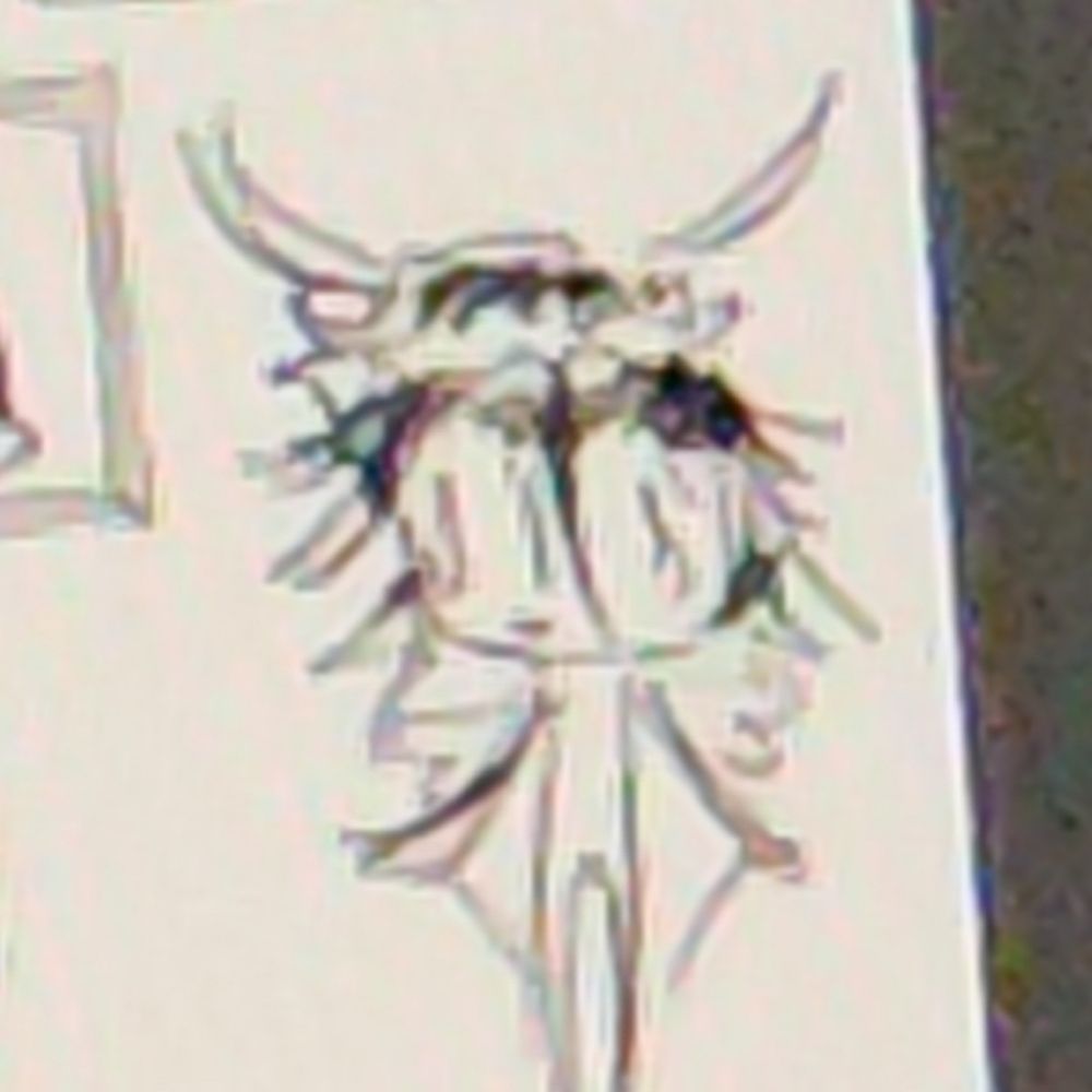 blasillyentomoth 
