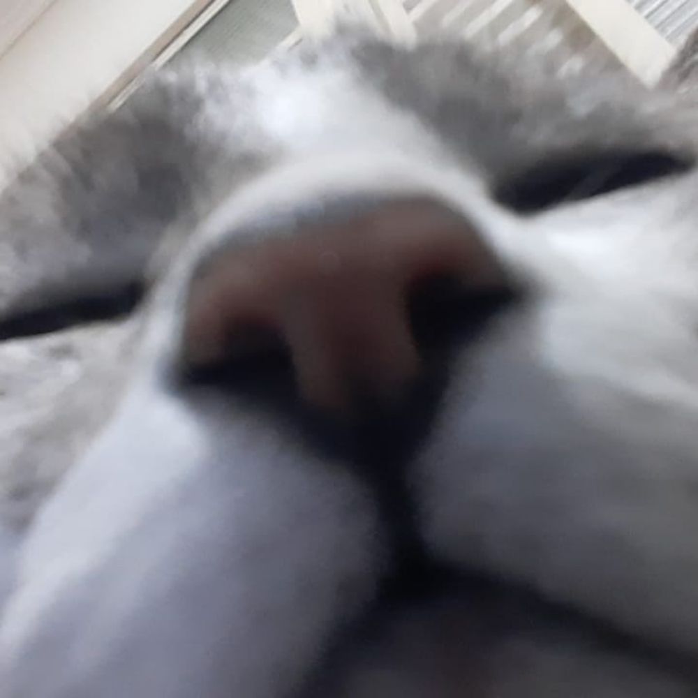 marcy bum