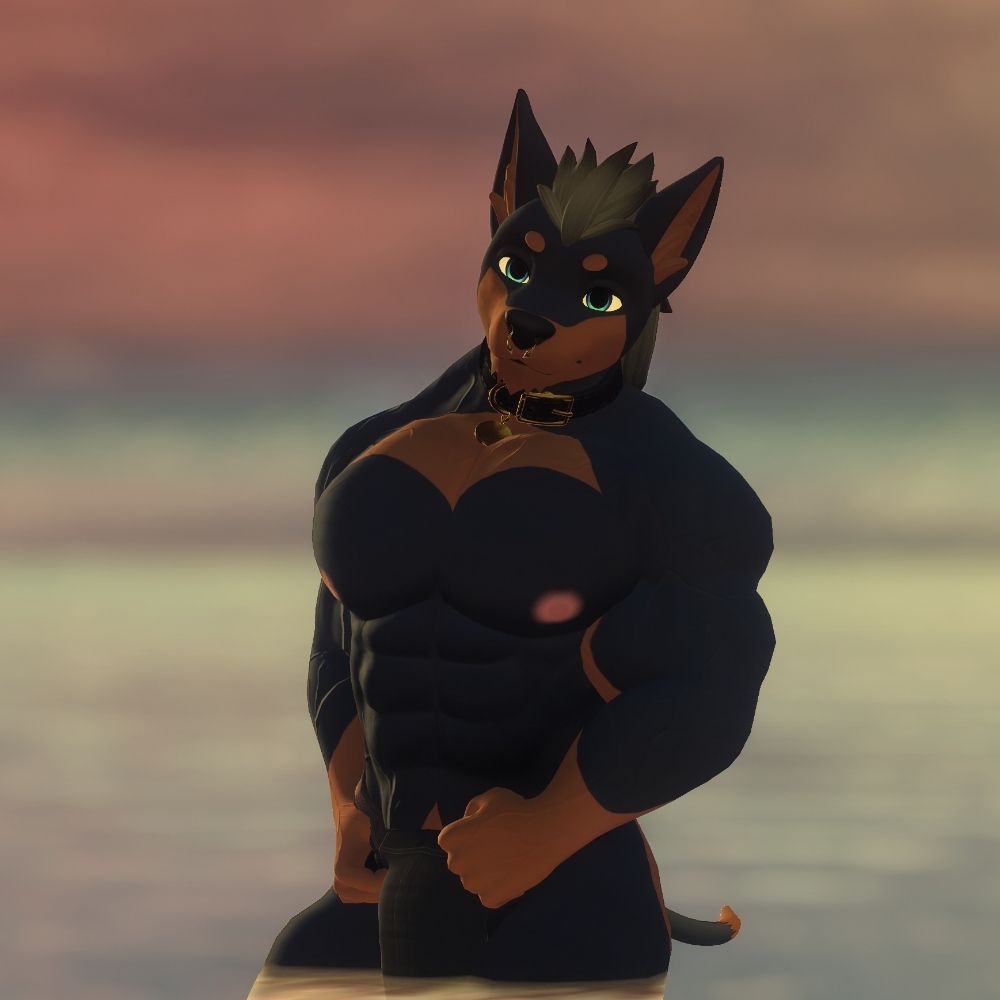 Antonio The Doberman
