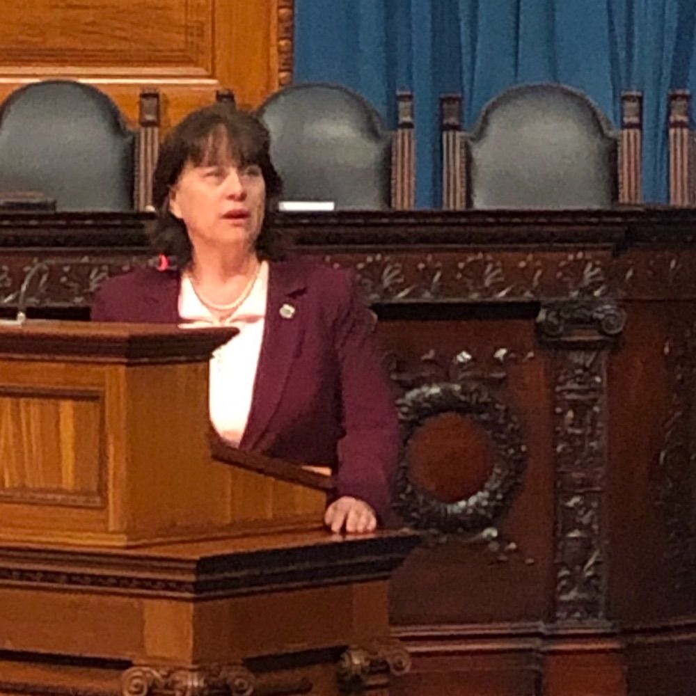 Rep Tricia Farley-Bouvier