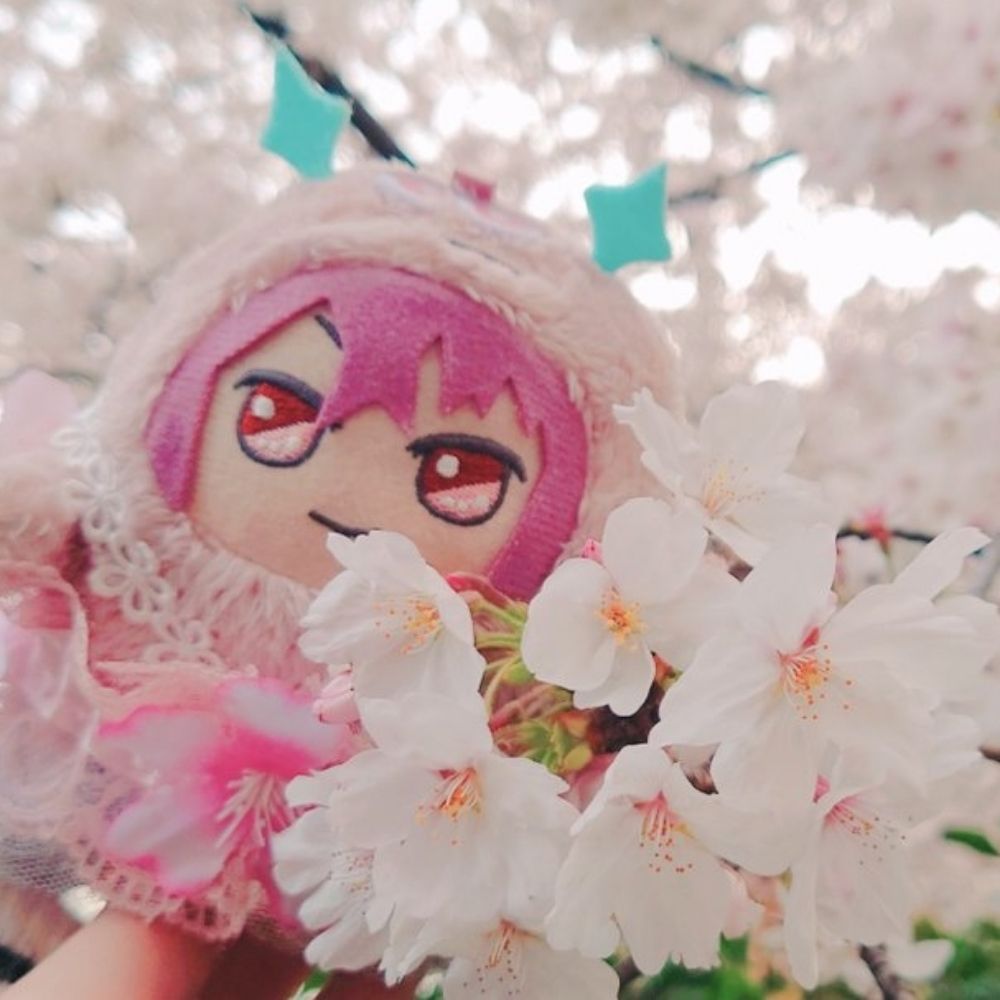 なし